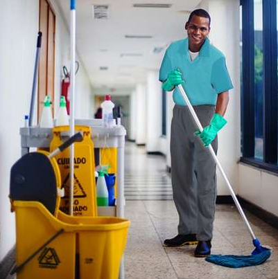 Cleaning and Fumigation